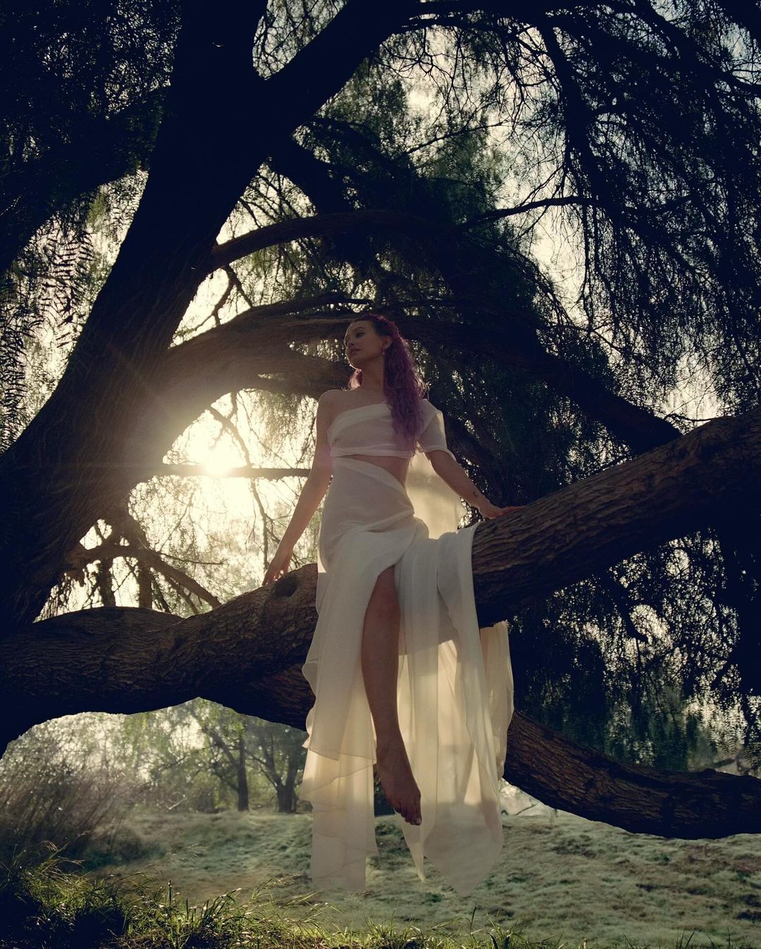 Woman in flowing white dress sits on a large tree branch in a dreamy forest setting with soft light, wearing pastel hair and bare feet.