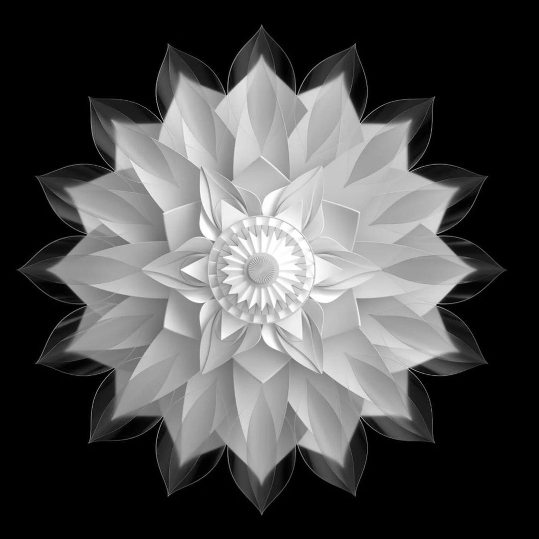 Monochrome flower-like circular pattern illustration featuring geometric shapes and layered petals against a solid black backdrop.
