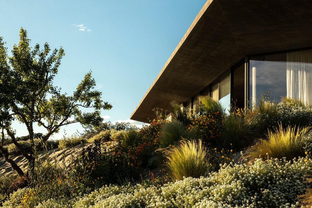 Exterior view of a modern building with a flat roof, surrounded by a landscape with lush greenery and flowers under a bright sky.