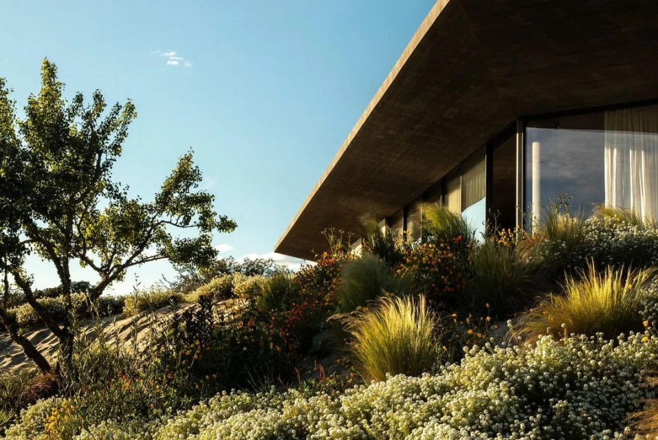 Exterior view of a modern building with a flat roof, surrounded by a landscape with lush greenery and flowers under a bright sky.