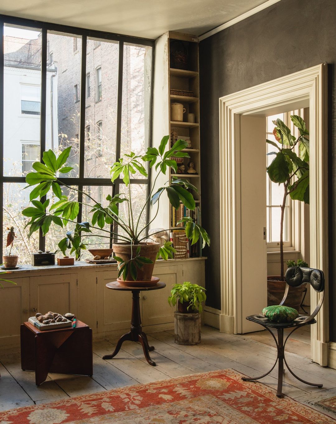 Indoor view of a sunlit room featuring lush green potted plants, a vintage chair, and a decorative rug on a wooden floor.