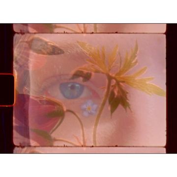 Abstract floral artwork featuring a close-up of a woman's eye blended with a flower and leaf arrangement, shot with soft, diffused light.