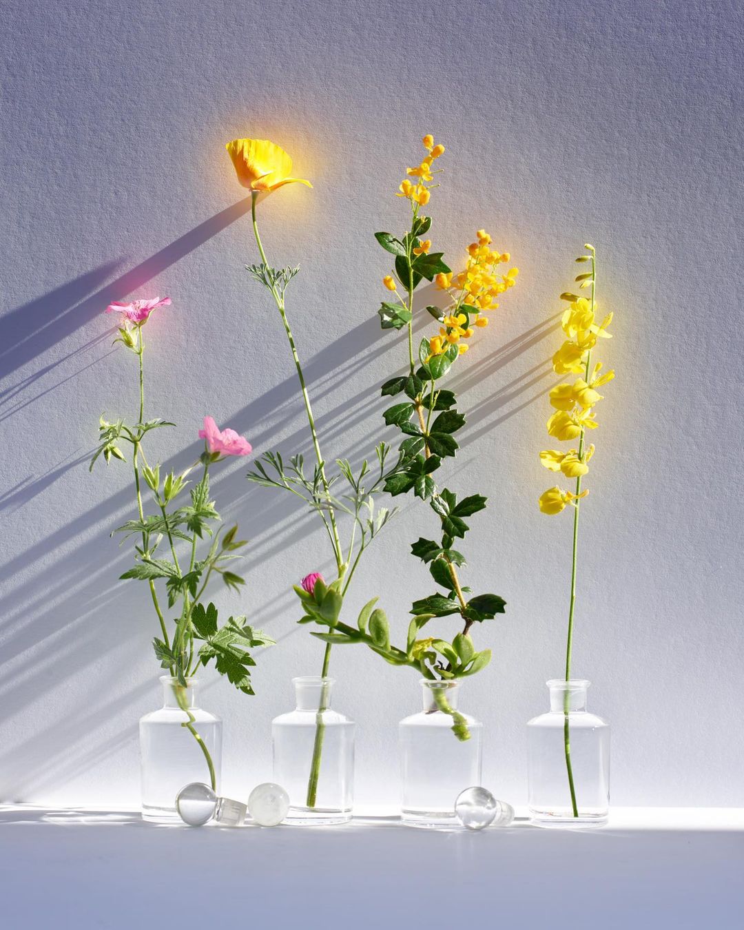 Botanical arrangement featuring pink and yellow flowers in clear glass vases, complemented by matching glass stoppers and a light backdrop.