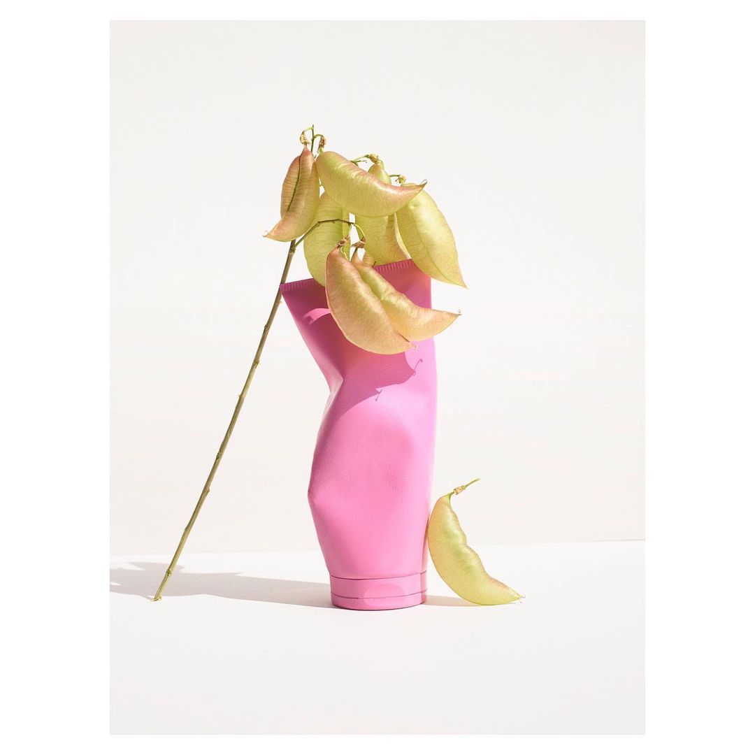 Still life of a pink vase with a branch of light green seed pods against a white background, creating a minimalist, modern aesthetic.