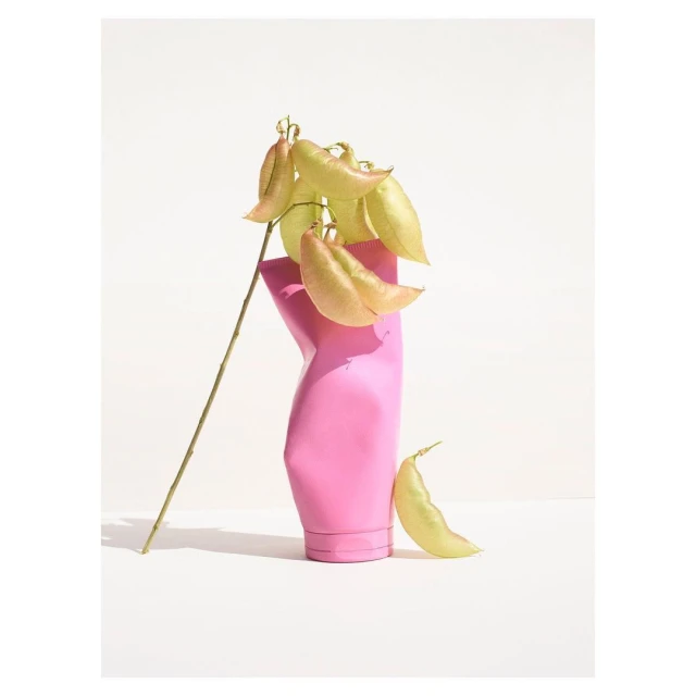 Still life of a pink vase with a branch of light green seed pods against a white background, creating a minimalist, modern aesthetic.
