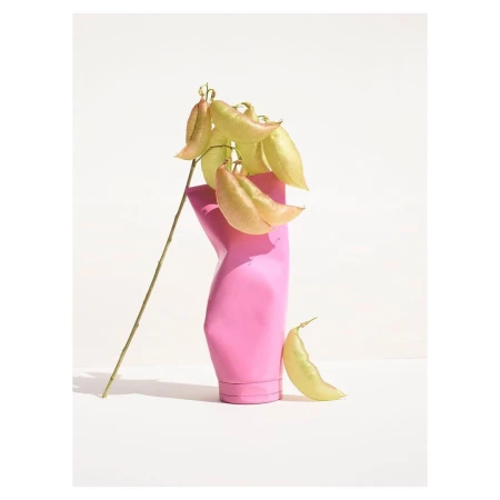 Still life of a pink vase with a branch of light green seed pods against a white background, creating a minimalist, modern aesthetic.