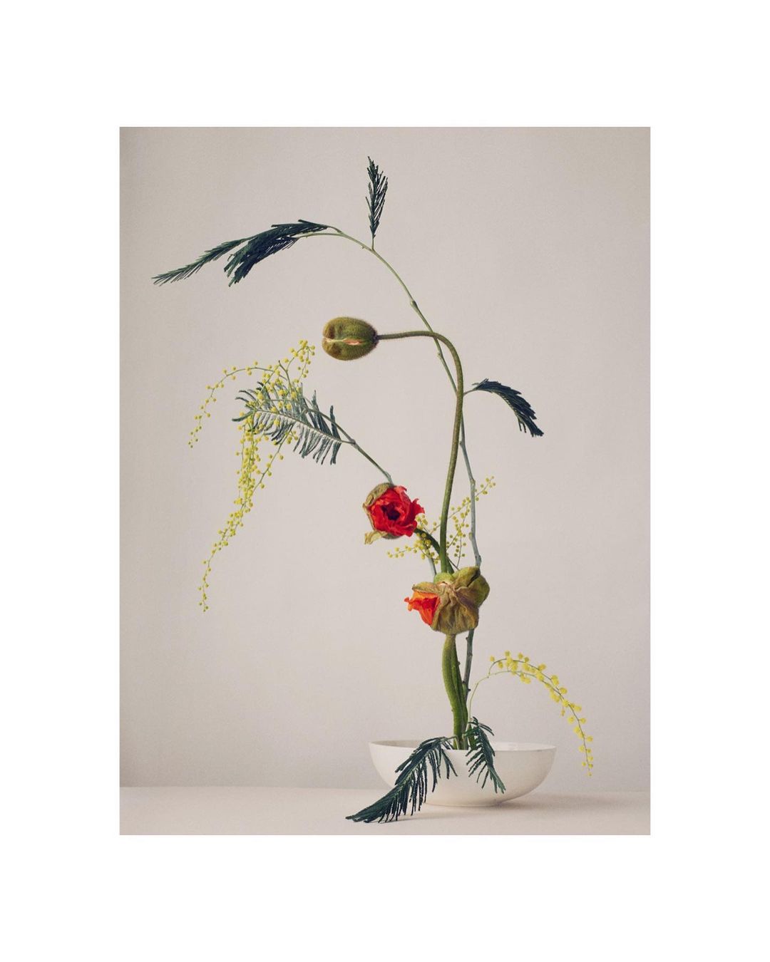 Floral arrangement featuring red flowers, green stems, and delicate yellow foliage in a white bowl against a light beige backdrop.
