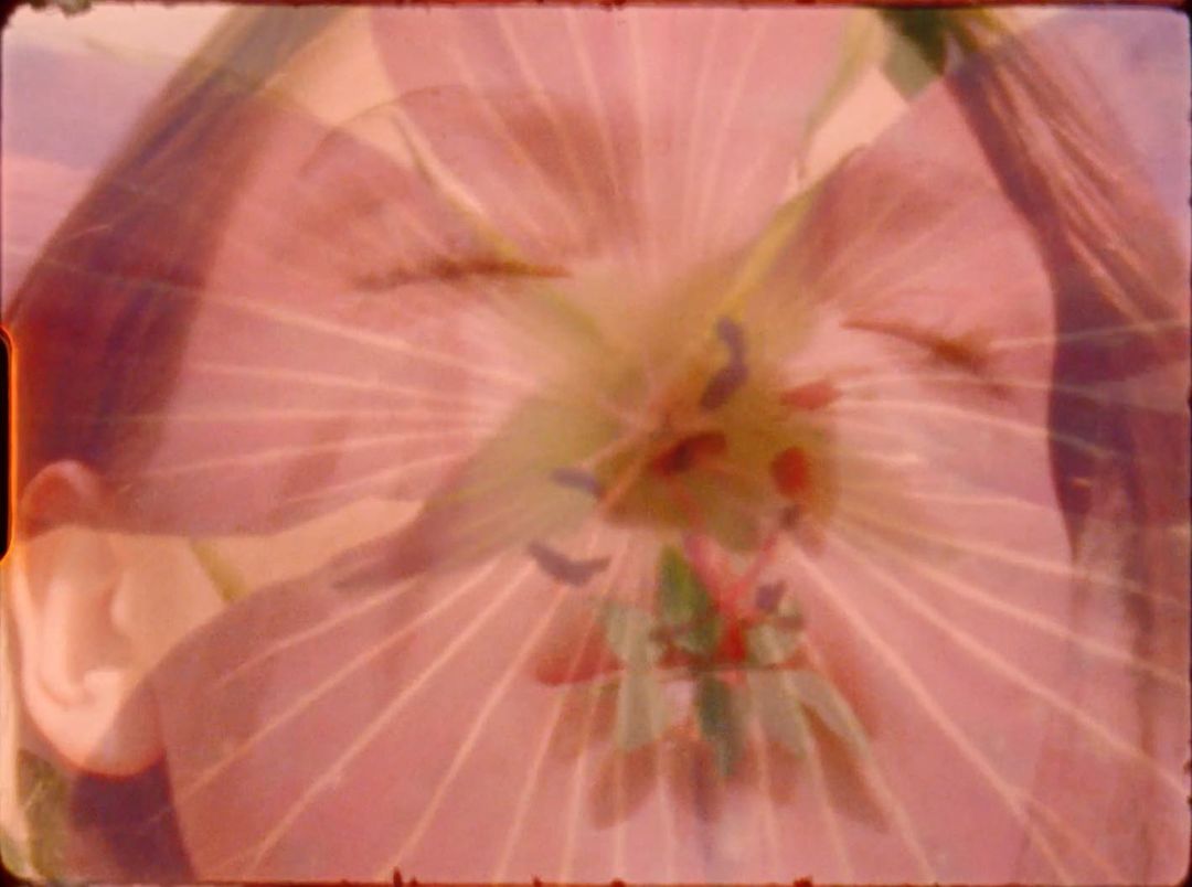 Soft-focus double exposure of a woman's face and a pink flower, creating an ethereal and dreamlike visual effect, with light, pastel colors.