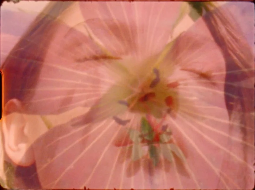 Soft-focus double exposure of a woman's face and a pink flower, creating an ethereal and dreamlike visual effect, with light, pastel colors.