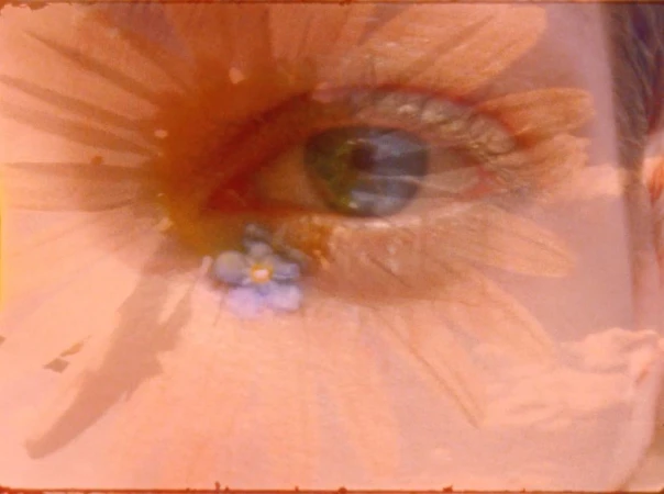 Surreal close-up of a human eye blended with a flower in dreamy, soft focus and a color-graded treatment in shades of peach and blue.