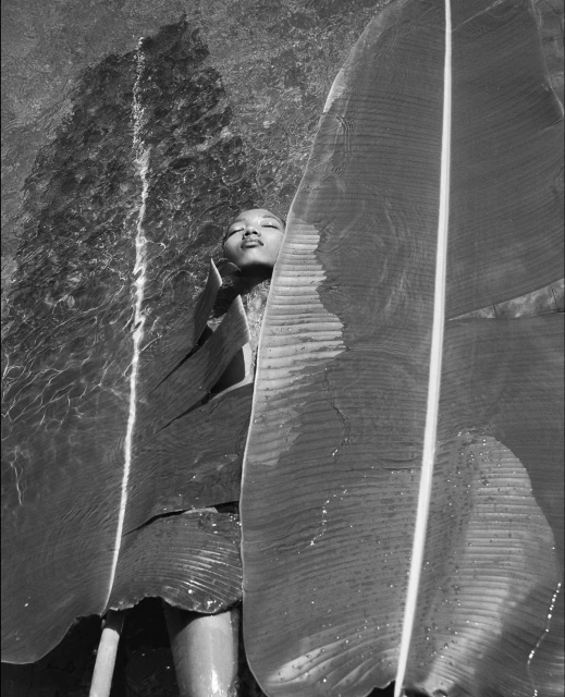 Black and white photo of a person partially submerged in water, framed by large banana leaves, creating a serene, natural portrait.