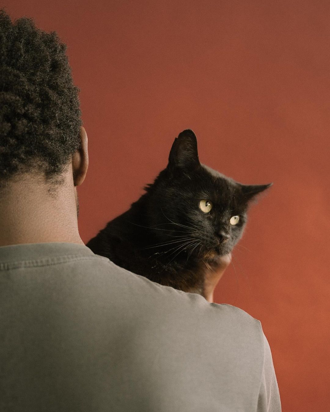 A black cat sits perched on a man's shoulder, looking directly at the camera with amber eyes, against an orange background.
