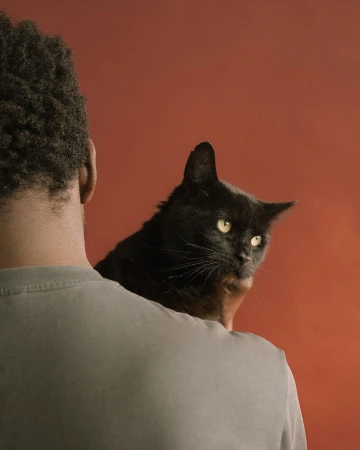 Black cat sits perched on the shoulder of an adult with curly hair, set against a muted red-brown background in soft studio lighting.