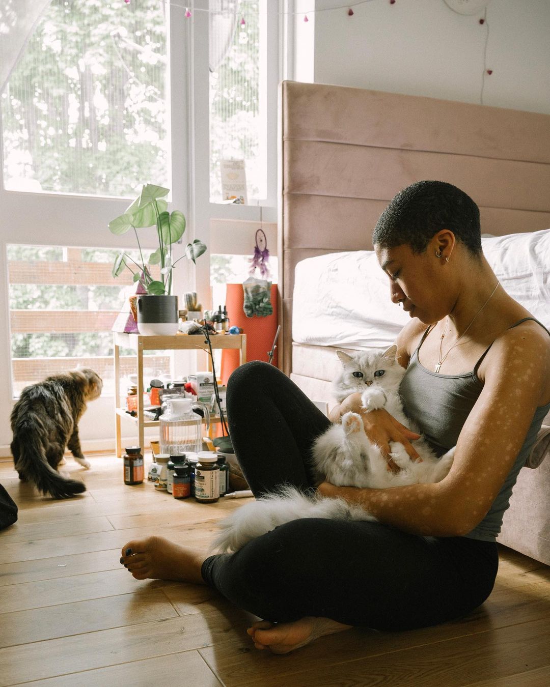 Woman sits on the floor indoors, cradling a white cat, while another cat stands nearby; natural light streams through the window.
