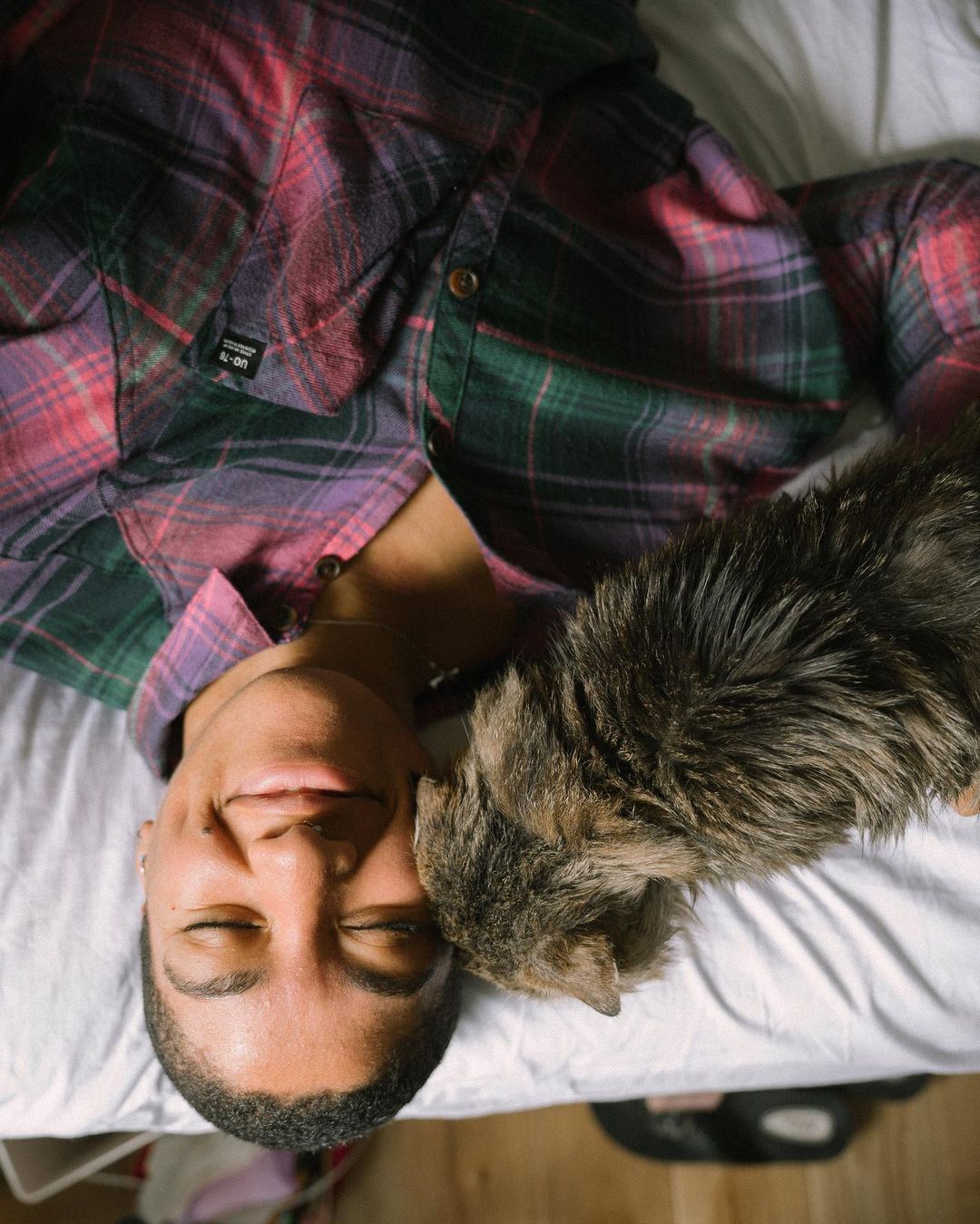Person lies on their back with a grey tabby cat resting on their face, eyes closed, wearing a colorful plaid shirt inside a home.