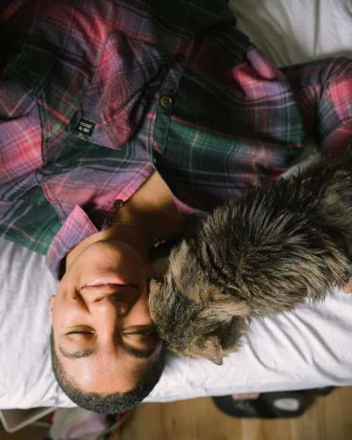 Person lies on their back with a grey tabby cat resting on their face, eyes closed, wearing a colorful plaid shirt inside a home.