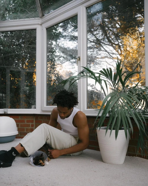Indoor scene featuring an adult man sitting on the floor, petting a dog wearing a protective collar, with a potted plant nearby.