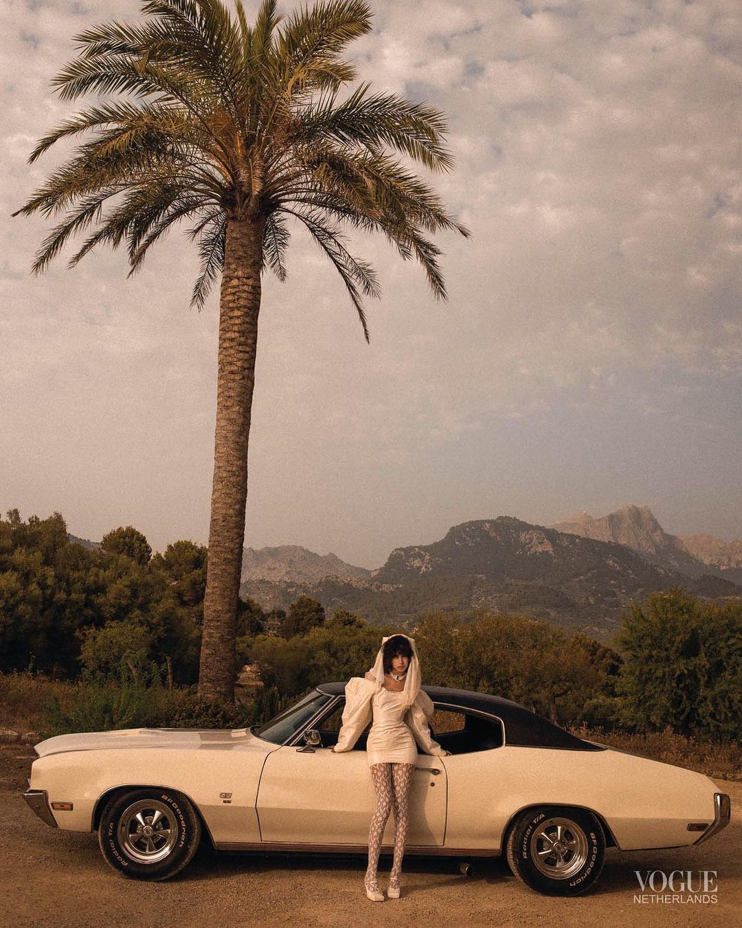 Woman in retro-style dress and patterned stockings stands near vintage car under palm tree with mountains in background.