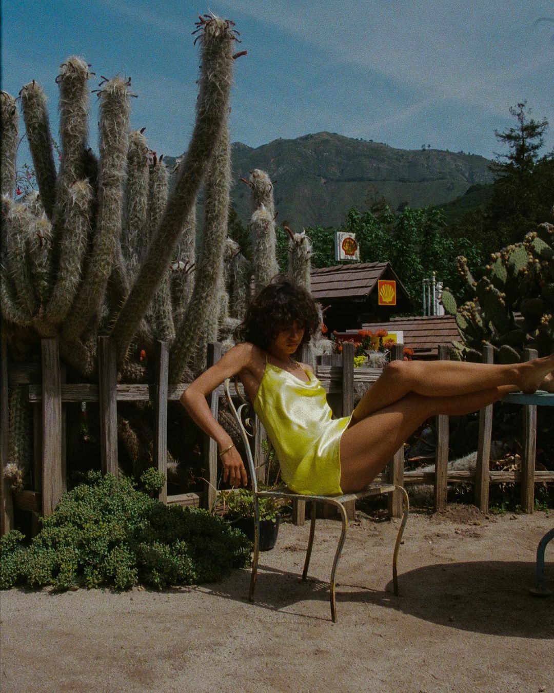 A young woman with curly hair in a yellow dress sits on a metal chair outdoors amidst cacti, set against a backdrop of mountains and sky.