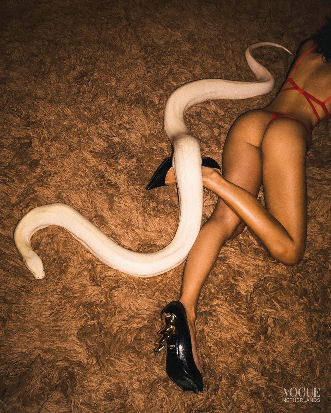 Woman in red lingerie with a white snake on a brown shag rug, wearing black high heels, studio shot, Vogue Netherlands logo visible.