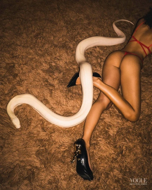 Woman in red lingerie with a white snake on a brown shag rug, wearing black high heels, studio shot, Vogue Netherlands logo visible.