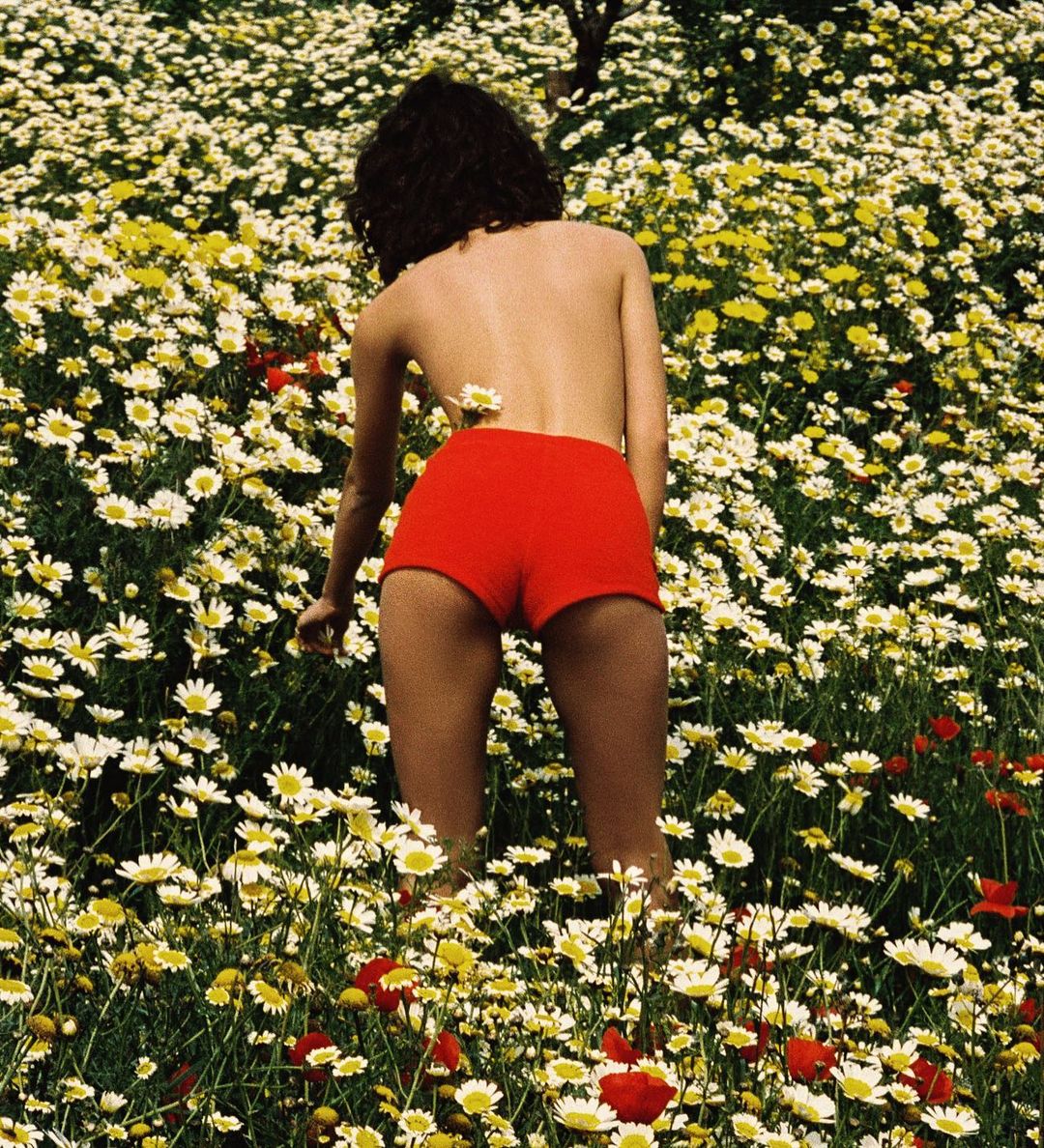Young woman in red shorts standing in a field of white and yellow daisies, enjoying nature and picking flowers on a sunny day.
