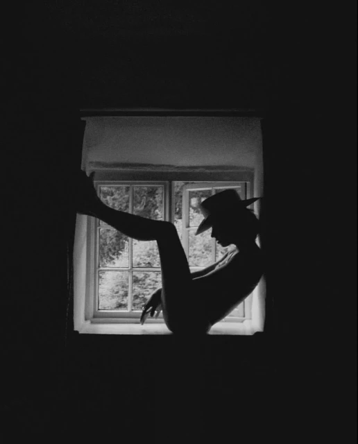 Silhouette of a person wearing a hat, reclining in a window with trees visible outside, set against a dark interior.