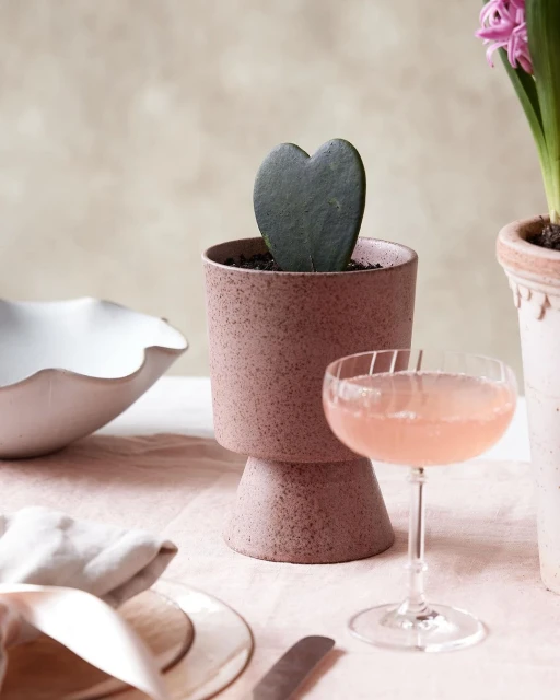 Close-up of heart-shaped hoya kerrii succulent in a pink pot on a table with a cocktail, white bowl, hyacinth plant and silverware.