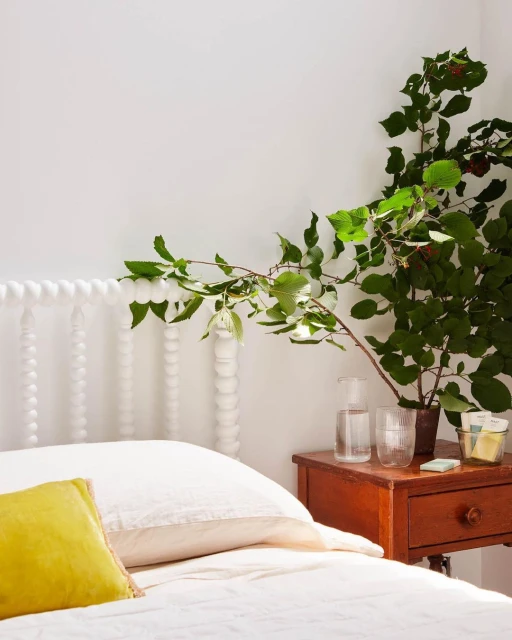Bedroom interior with a bed with white linens and yellow pillow, a bedside table with a plant, water glasses, and bright natural light.