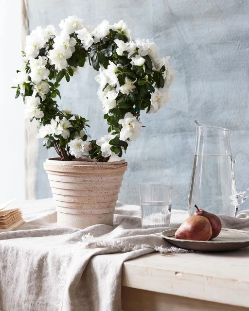 Azalea plant in a pot on a table with pears and a glass of water against a light blue background, shot in natural lighting.