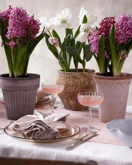 Floral still life featuring potted hyacinths and tulips in muted tones, complemented by pink champagne coupes and elegant table setting.