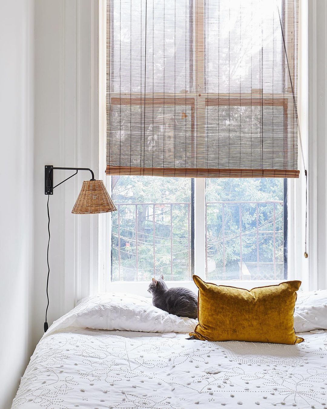 Cozy bedroom interior featuring a grey cat sitting on a white patterned bed, a yellow pillow, a window with blinds, and a wall sconce.