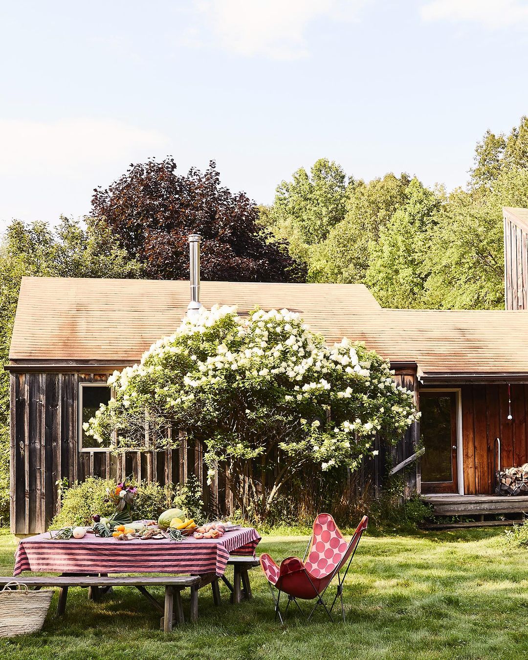Outdoor picnic table laden with food and produce next to a red butterfly chair in a grassy yard with a rustic wooden house.