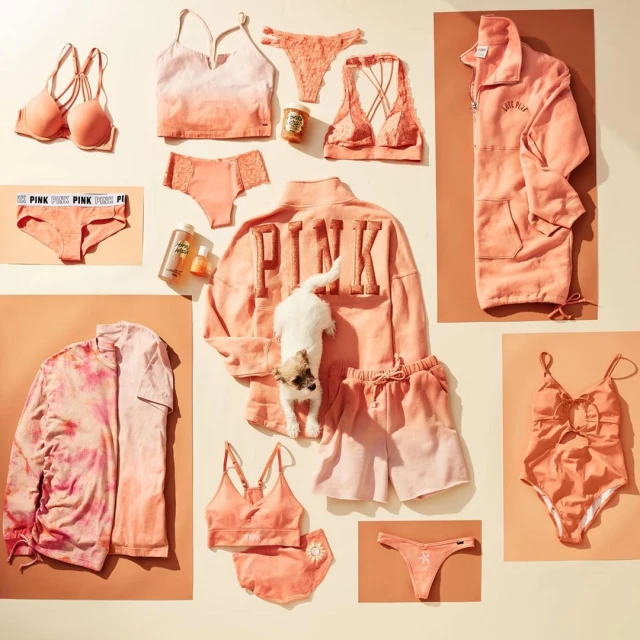 Flat lay of peach-colored lingerie, sleepwear, swimwear and loungewear from PINK by Victoria's Secret, alongside a small dog.