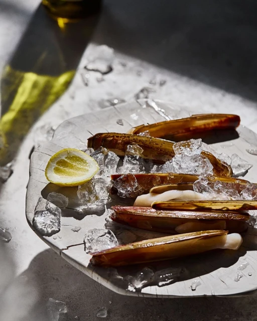 Razor clams, lemon wedge, and crushed ice arranged on a grey plate under studio lighting, showcasing seafood presentation and culinary artistry.
