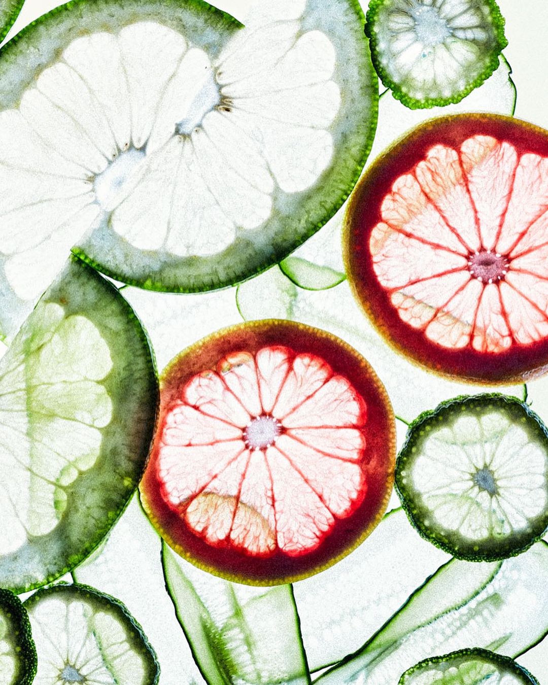 Slices of grapefruit and cucumber in a colorful arrangement, backlit to emphasize their textures and translucent qualities.