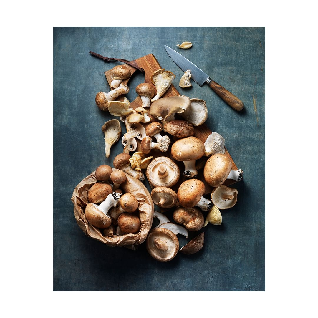 Overhead shot of an assortment of mushrooms on a wooden cutting board and in a brown paper bag with a knife on a teal background.