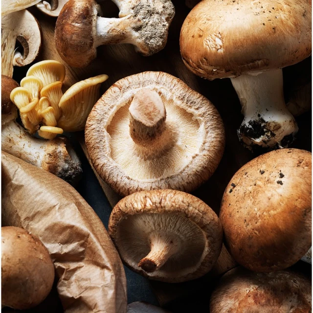 Close-up overhead shot of various mushrooms including shiitake and oyster mushrooms arranged on a dark surface in natural light.