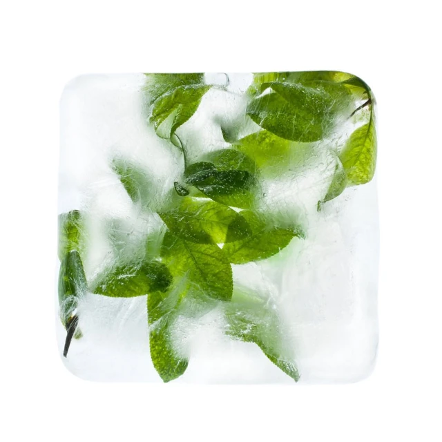 Close-up of vibrant green leaves frozen inside a clear ice cube against a stark white background, showcasing natural beauty.