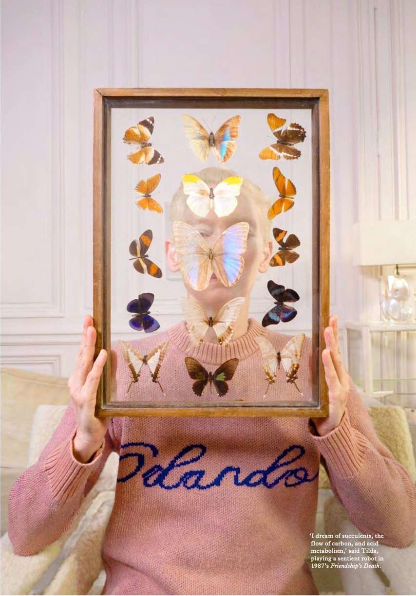 Framed butterfly collection held by a woman with blonde hair wearing a pink sweater, creating an artistic and unique portrait.