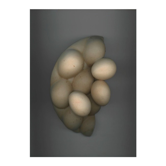 Close-up of a cluster of chicken eggs showing their texture, shape, and variation in color, set against a neutral grey backdrop.