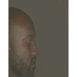 Profile portrait of a bald man with short facial hair shot in soft muted lighting against a neutral background
