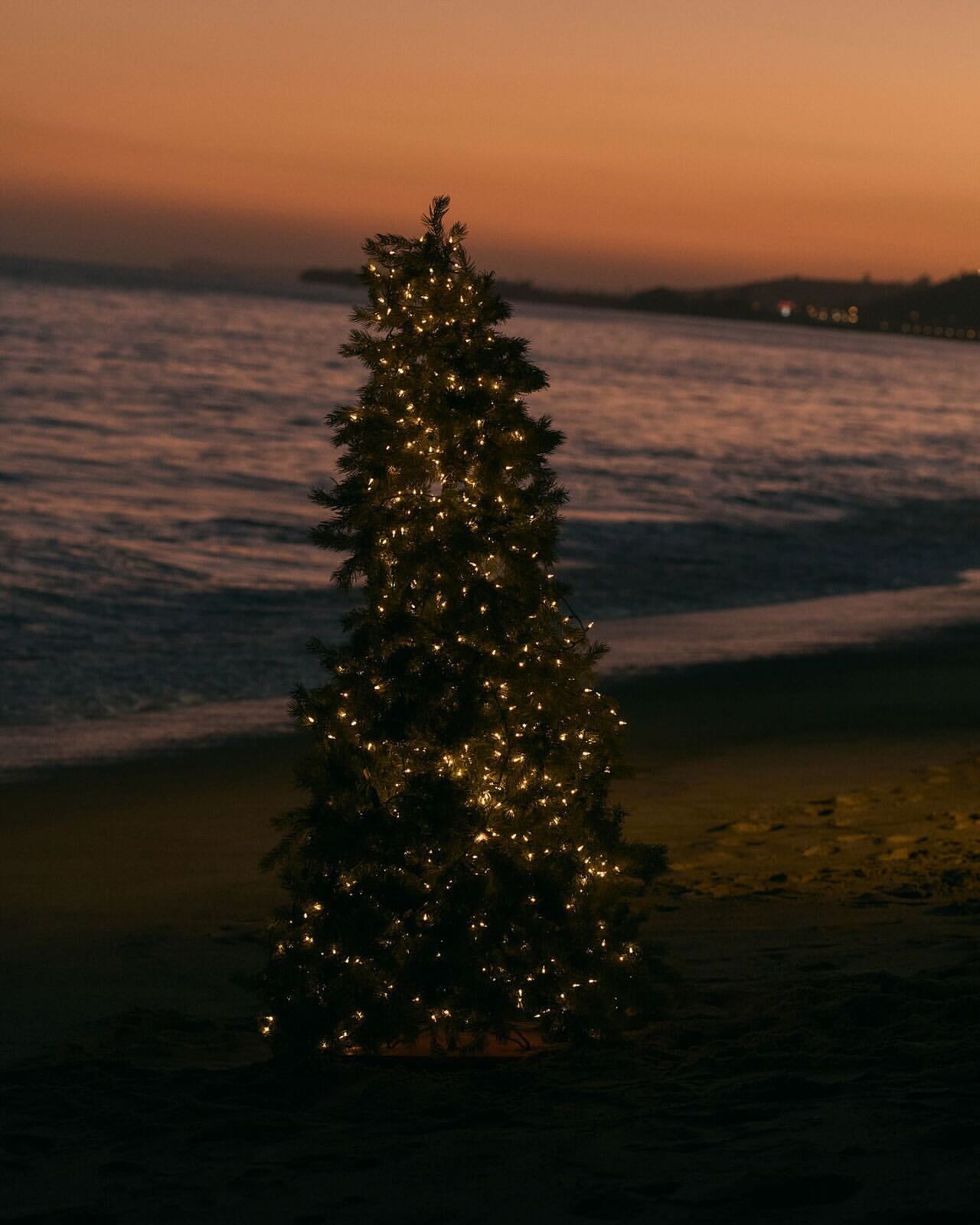 Decorated Christmas tree stands on a dark beach at dusk, with waves and horizon in background, reflecting the orange and pink sky.