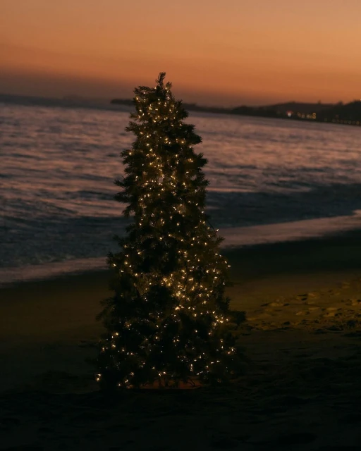 Decorated Christmas tree stands on a dark beach at dusk, with waves and horizon in background, reflecting the orange and pink sky.