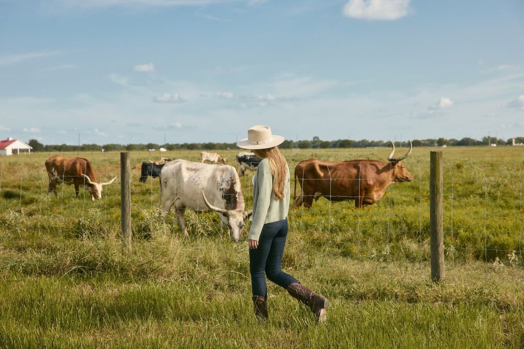 Woman in hat and boots walks on a grassy plain near Longhorn cattle behind a wire fence on a sunny day in a rural environment.