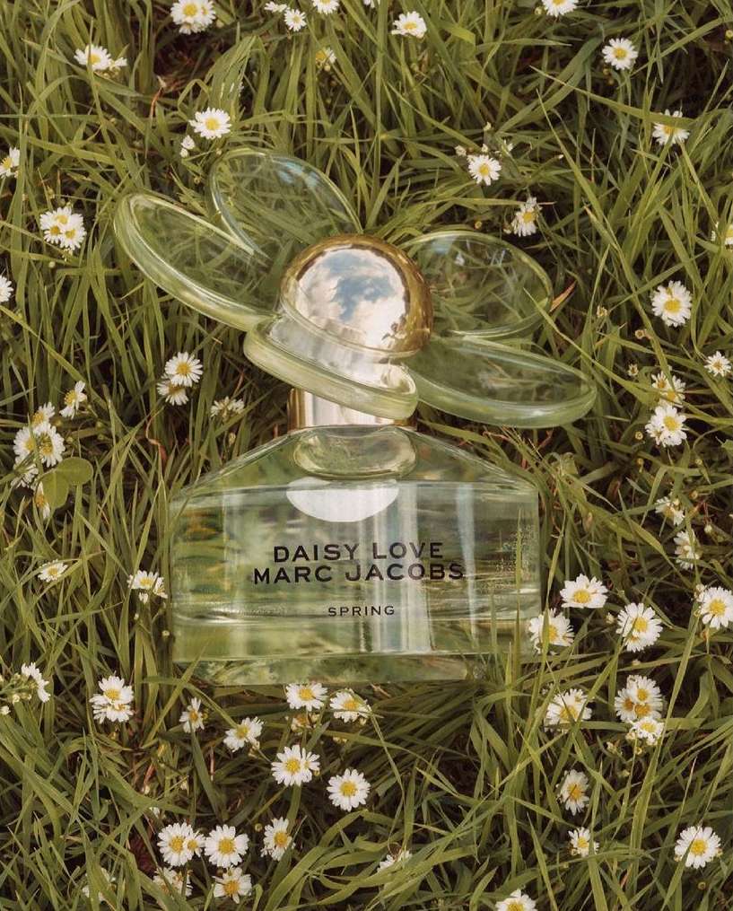 Overhead shot of Daisy Love Marc Jacobs perfume bottle lying in tall grass and small white daisies. Product shot showcases the fragrance.