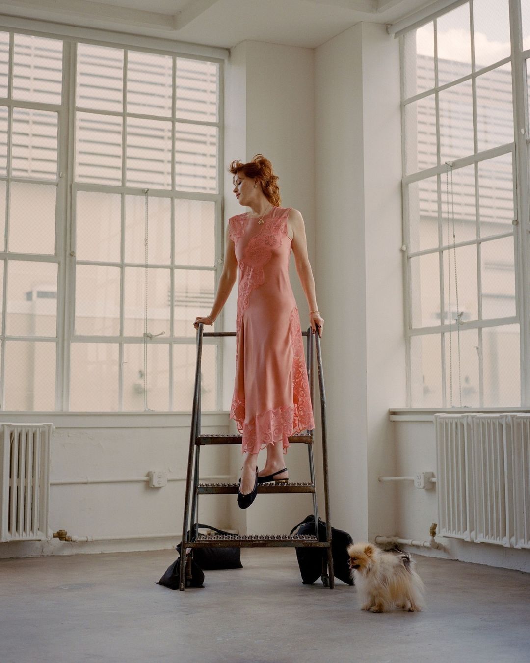A woman in a pink dress ascends a metal ladder, with a small dog and bags at the base, set against a backdrop of large windows.
