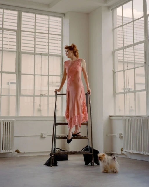 A woman in a pink dress ascends a metal ladder, with a small dog and bags at the base, set against a backdrop of large windows.