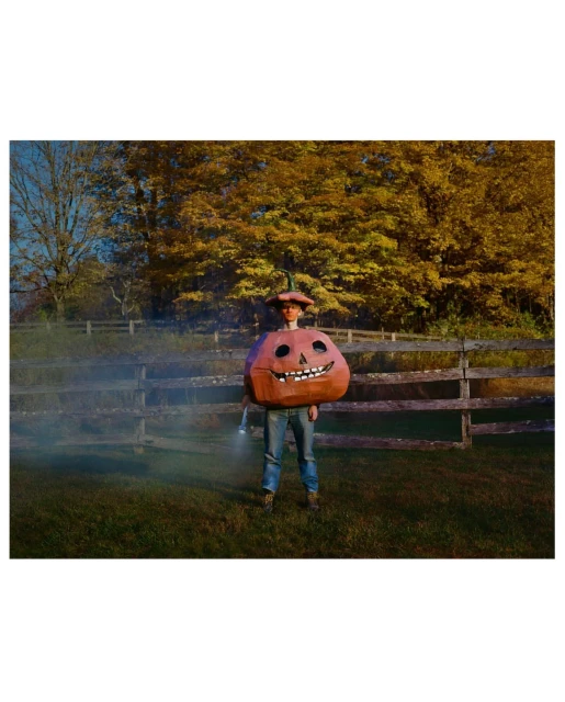 Person in pumpkin costume stands in rural field. Autumn trees and rustic fence visible in background. Atmospheric smoke effect.