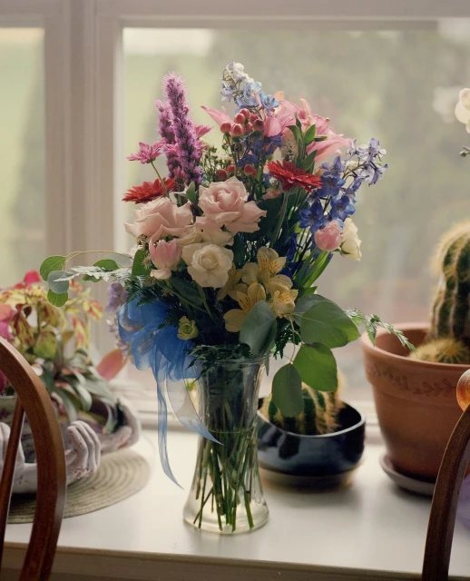 Bouquet of colorful flowers in a glass vase sits on a table by a window, with other potted plants in the background.